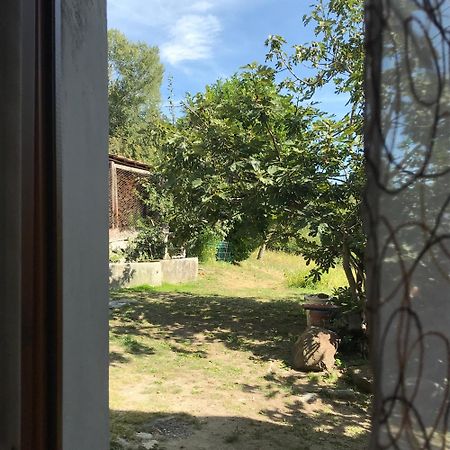 Palu Vacanze: L'Intimita Aosta Oda fotoğraf